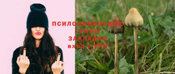 сатива Абдулино