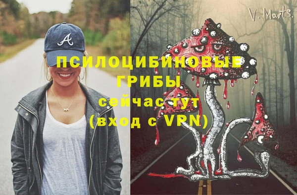 первитин Абаза